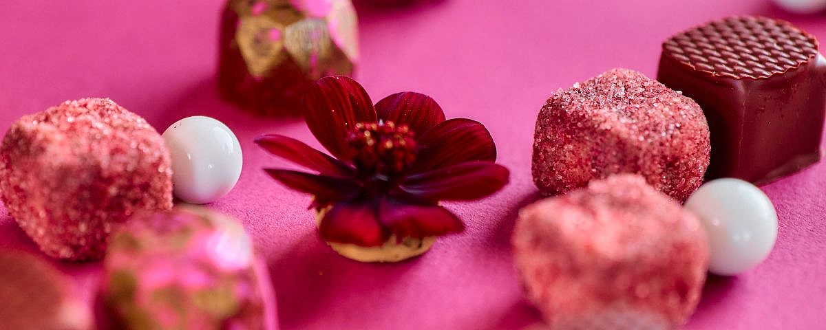 Wein und Schokolade auf Schloss Wackerbarth Wein & Schokolade - Schloss Wackerbarth