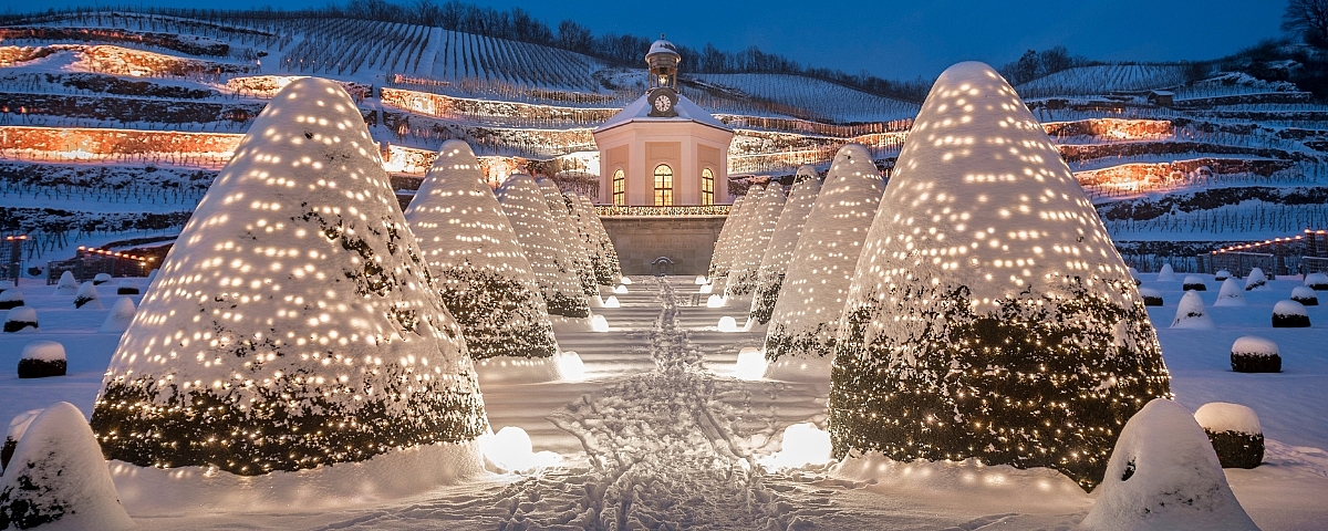 Wackerbarths Wintertour Festlich beleuchtete Gartenanlage von Schloss Wackerbarth im Schnee mit Blick auf das Belvedere, umgeben von winterlich beleuchteten Weinbergen.