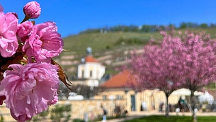 Außen-gastronomie Außen-gastronomie