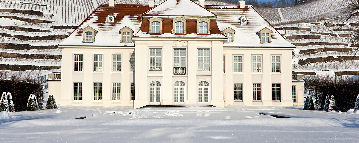 Schloss Wackerbarth Schloss Wackerbarth im Winter mit schneebedeckten Weinbergen und barocker Schlossanlage.