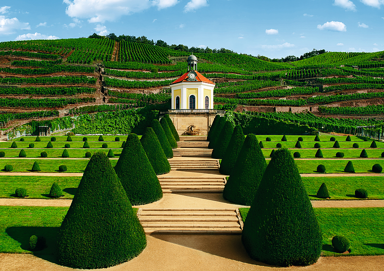 Belvedere Schloss Wackerbarth im Sommer