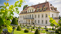 Sommerliches Schloss Wackerbarth