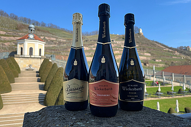 Drei Sektflaschen von Schloss Wackerbarth vor dem Belvedere und den Weinbergen in Radebeul. Von links nach rechts der Bussard Royale Réserve brut, der 2020er Thonberg Riesling Sekt brut, sowie der 2022er Riesling brut.