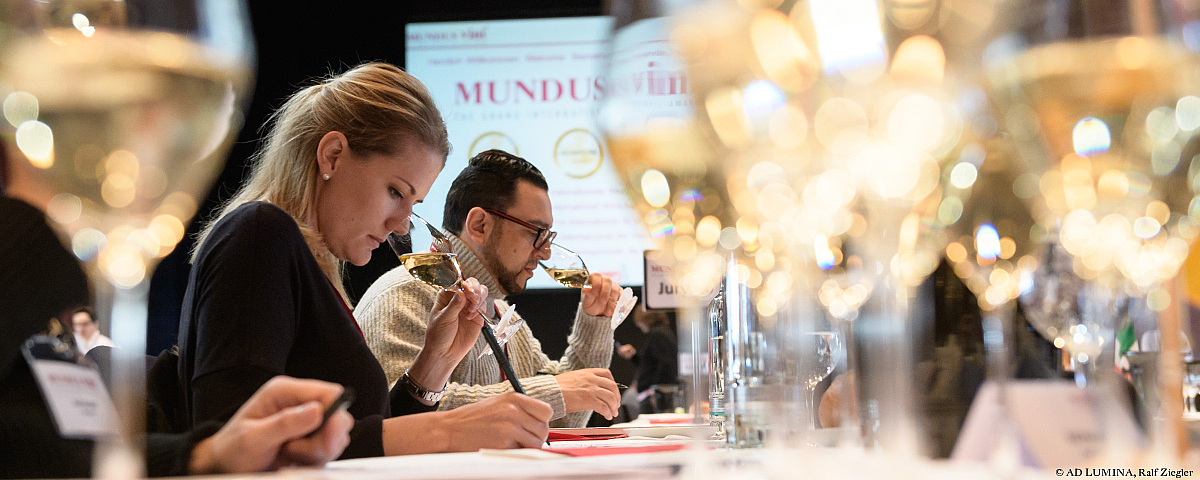 Schloss Wackerbarth Jurymitglieder bei einer professionellen Weinverkostung von Mundus Vini, umgeben von gefüllten Weingläsern.