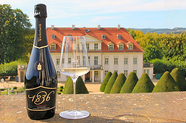 Hommage 1836 Weiß – Prickelnder Genuss auf Schloss Wackerbarth erleben