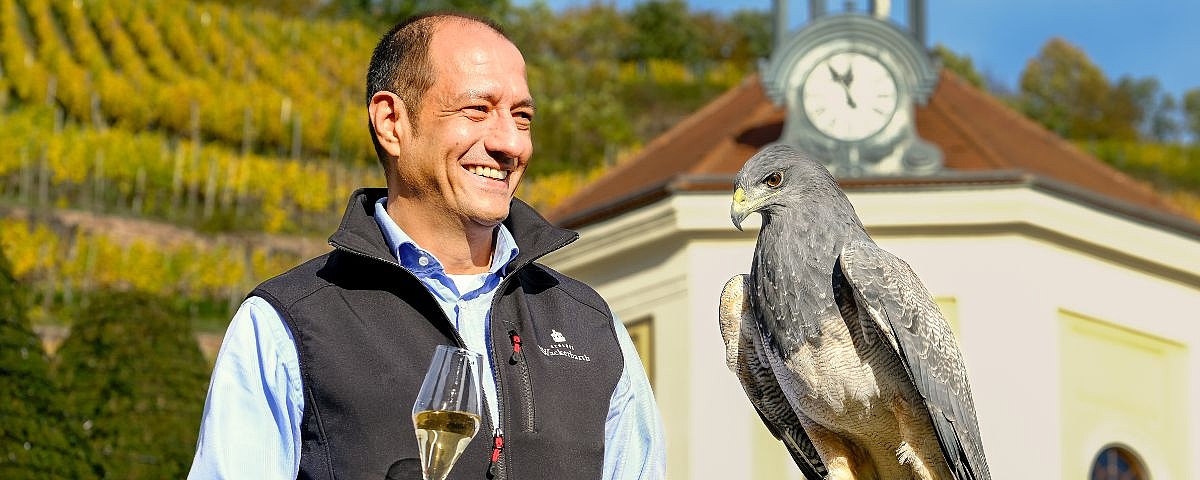 Schloss Wackerbarth A man with a wine glass stands next to a bird of prey in front of the Belvedere at Wackerbarth Castle, with autumn vineyards in the background.