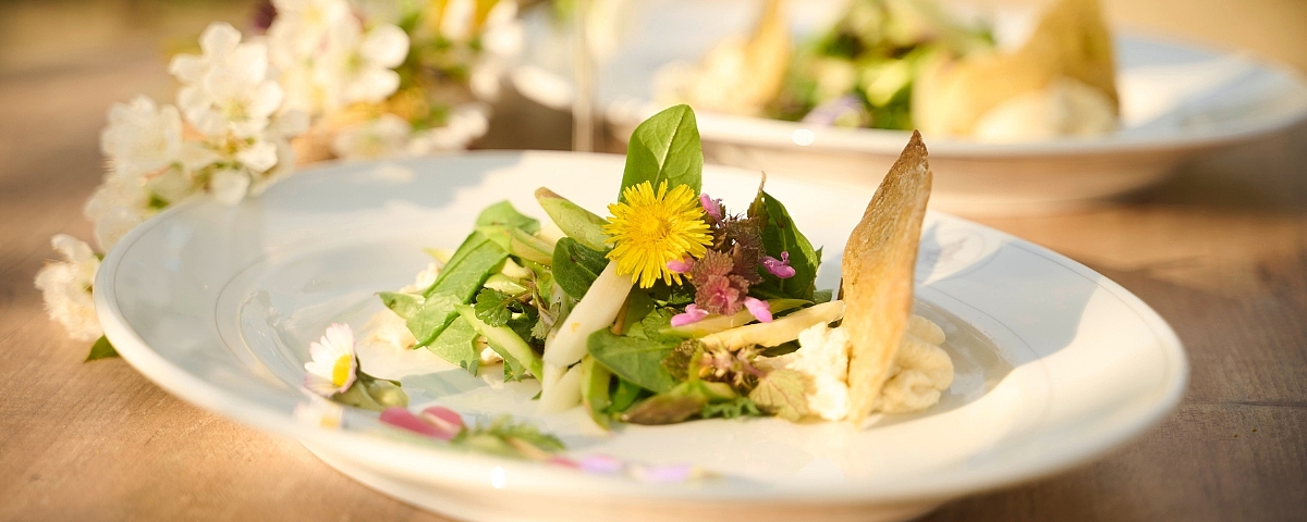 Sekt & Kräuter auf Schloss Wackerbarth Spring-like plate with fresh wild herbs, edible flowers and crispy garnish on porcelain.