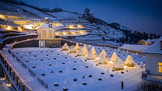 Öffnungszeiten Öffnungszeiten