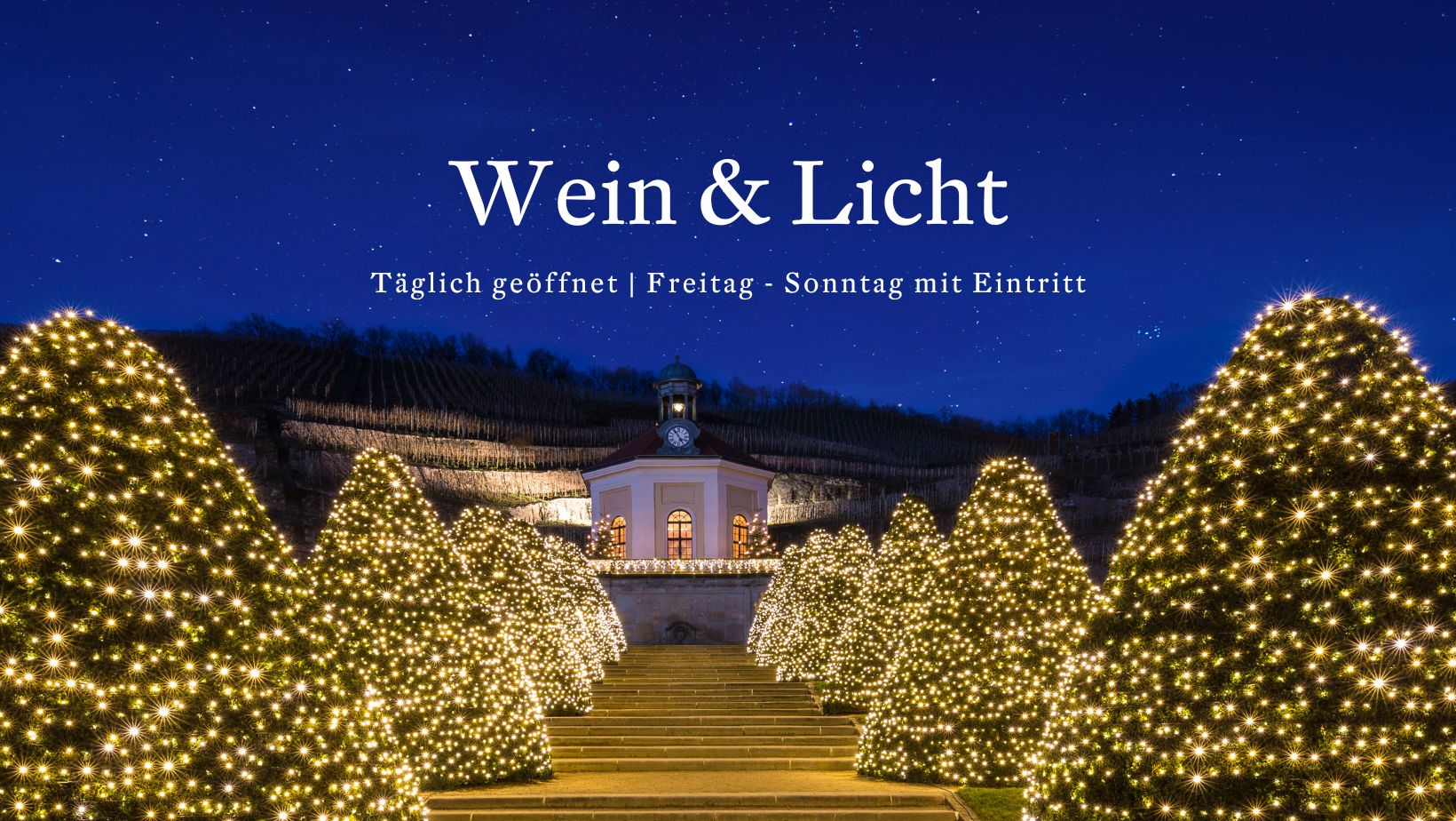 Wein & Licht 